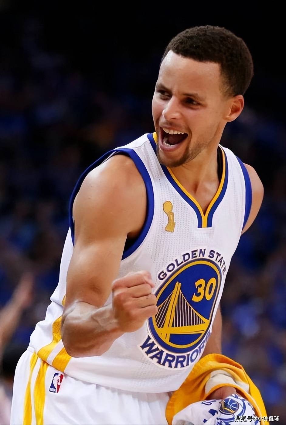 在维斯塔潘 在维斯塔潘